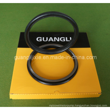 Floating Oil Seal Group 4513173